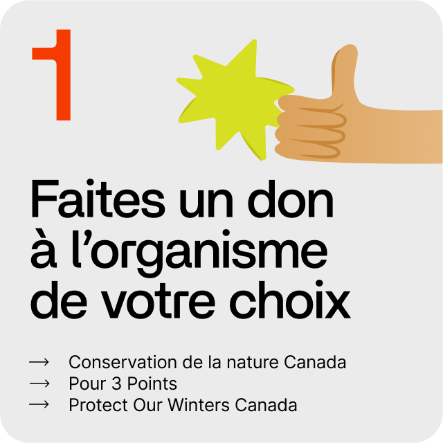 1. Faites un don à l’organisme de votre choix