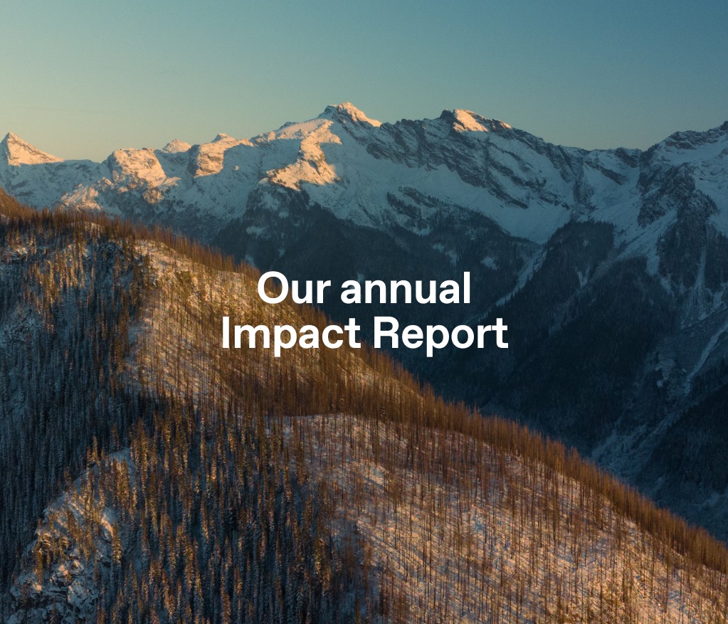 Our annual Impact Report