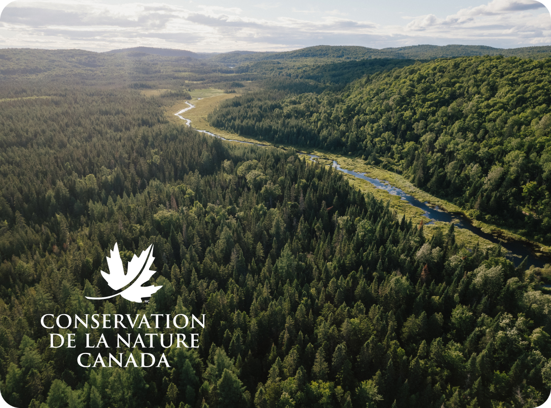 Alti Action : Conservation de la nature Canada