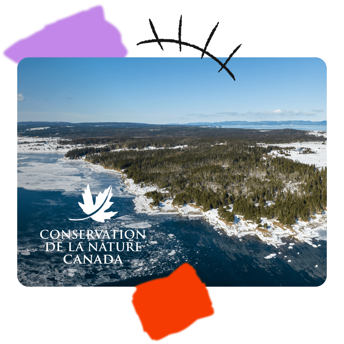 Alti Action : Conservation de la nature Canada